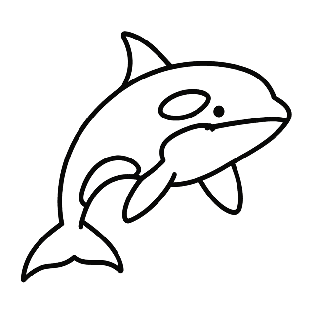 Kshamenk black and white transparent